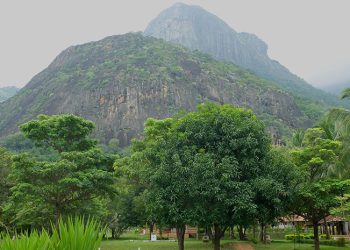 A Special Retreat - Christmas 2025